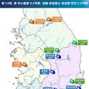 SG인터네셔널 이미지