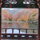 시티원부동산공인중개사사무소 이미지