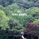 부산국제승마장 이미지