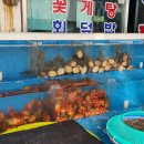 북항회.탕센타 이미지