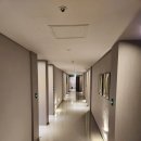 퍼플315 이미지