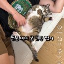 춘봉