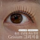 그리샵 이미지