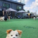 더히로 플레이그라운드 이미지