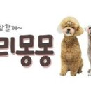 러블리몽몽 네이버블로그
