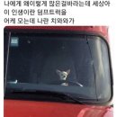 토스트와 주먹밥(홍제점) | 월간잡지 이소년[10월호]_ 아 판다로 태어날걸