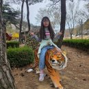 계명대북대구태권도 이미지