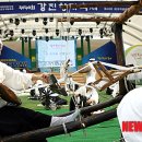 하신베틀놀이 이미지