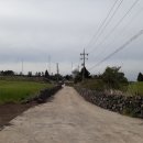 동광리-7 이미지