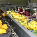 운봉농협 농산물산지유통센터 이미지