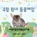 가락병설유치원 이미지