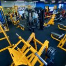 이에스짐 이미지