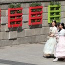 쌈지한복 이미지