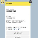 몽글몽글 애견유치원 | 금촌애견미용 고민 끝! &#39;이뻐지개&#39;에서 위생 목욕 받고 온 딱지 후기✨