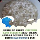 초당두부