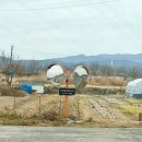 김은희농장 | 경주 대추밭백한의원 난임 예약 꿀팁 4대원장님 진료 후기 가격