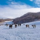 유일목장 이미지