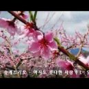 가을바람/이해인 이미지