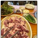 명가오리 이미지