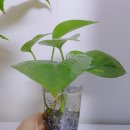 (유)수경 이미지