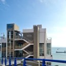 태종대 짚와이어 하부 이미지