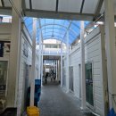 동보수산 | 여기갔습니다. 수산물직판장 '광복호'_내돈내산 방문 후기!(궁평항, 새우구이, 양심매장, 호객행위없음)