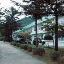 창촌중학교 이미지