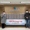 에그플 데일리와이