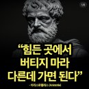 김경일「가을 산」 | 퇴사하고싶다/퇴사하고싶다/퇴사하고싶다/마음성장프로젝트/동대문 디자인 플라자/요가소년/sun yoga...