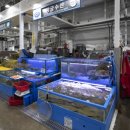 싱싱활어회수산 이미지