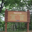 비래초등학교 이미지