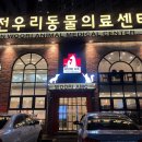 나음동물약국 이미지