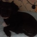 제이엔에스(JNS) 이미지