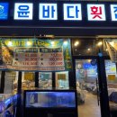 라라금밥 | 광주 첨단 횟집 윤바다횟집 모듬회 솔직후기 | 스끼다시부터 회까지 만족했던 첨단맛집
