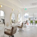 동백미장원 이미지