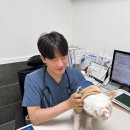 아이힐 동물병원 이미지