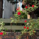 우주를 줄개 | 5월 (2) - 여름아 좀만 천천히 와