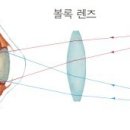 다바요 안경 네이버블로그