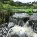 그레이스밸리 이미지