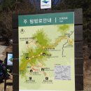 6월 정기산행 경북 영주 국립공원 소백산(1,439m) 이미지