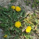 지리산녹차별펜션 이미지