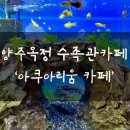 엔젤애견 수족관 화원 | 다양한 물고기와 물생활용품이 있는 양주 옥정 수족관 카페 ‘옥정 아쿠아리움 카페’