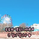 삼군짬뽕 이미지