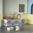 루이야 놀고 자고 GO 이미지