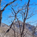 황골탐방지원센터 이미지