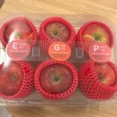 오늘의 마이핏 | [마이핏사과] 이건 꼭 먹어야해! 이지플, 감홍, 피크닉 사과 3종 비교 솔직 후기! 🍏❤️🍎