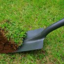 so tree farm 이미지