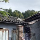 하나숙녀복 이미지