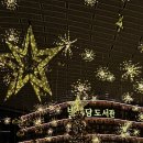 초록에뜰 작은도서관 | 삼성 코엑스 별마당도서관 크리스마스 트리 구경 후기