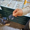 안경매니져 이마트둔산점 이미지